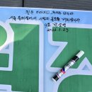 생강나무 : 산을 사랑하는 사람의 마음을 닮은 나무 🌿 이미지