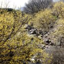 산수마을 이미지