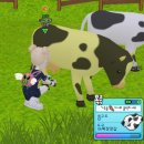 목평목장 이미지