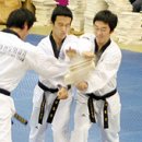 최강국가대표태권도 이미지