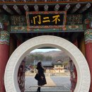 흥국사길 | 고양 일산 흥국사 주말에 가기 좋은 경기도 사찰 산책 후기 (주차/포토존)