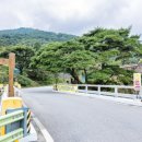 하조경로당 네이버블로그