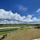 [마닐라 골프] 부산출발 12월~26년2월 깔릴라야 무제한골프 골프텔 2명부터 노쇼핑 3박4일 499000~ 필리핀항공 이미지