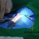 튼튼동물의료센터 이미지