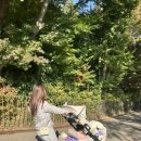 UR(파주시)-[와석순환로]-하-11 | 202511_1[에버랜드,어원수산 2호점, 종로 웨딩밴드 투어, 서순라길]