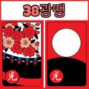 삼팔광