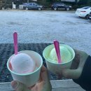 (주)노랑댕댕이 이미지