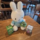 미션클리어 오락실 이미지