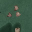 이튼튼구강악안면외과치과의원 이미지