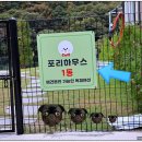 포리별펜션 | 연천애견펜션 포리하우스에서 강아지와 바베큐 파티와 불멍