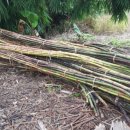 라탄 공예(야) 이미지