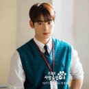 사랑스럽개 이미지