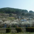 원동국제시장 이미지