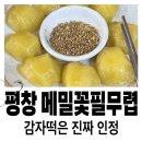 4594 | 평창 블루리본 맛집｜휘닉스파크 가는 길에 들른 메밀집 솔직 후기