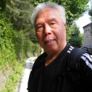 220826 우영우 팽나무… <b>천연</b>기념물 지정