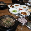 초원본가 이미지