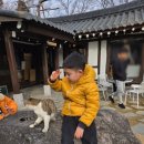 니어앤디어 | 너른놀이터 후 코스 추천! 광주 ‘마당→니어앤디어’ 현실 육아루트 완성