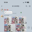 포그니유치원 이미지