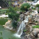 제주돌하르방캠핑장 이미지