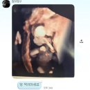 내 안의 장군이 자꾸 튀어나와