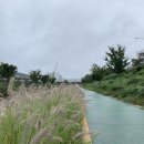 한우리어린이집 | 50대 한국 아줌마