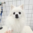 반자주 진해점 이미지