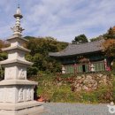 대운상대길 이미지