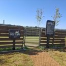 우리강아지 이미지