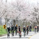 옥정호로 이미지