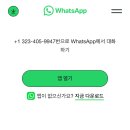 QR 왓츠앱 나오던데 뭘까 이미지
