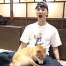똥깡아지