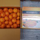 삼보약국 이미지