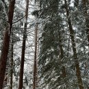 감자창고 이미지