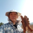 운수농장 이미지