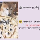 문제인행정사사무소 | 사회적기업 설립_(人)인행정사_인혜영