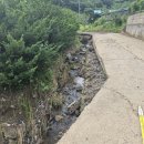 두지리 세천 이미지