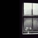 임*희 - 화순군 충의로 227 | 임*희