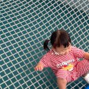 연무철물 | 더필더디자인 침대 쇼룸 후기 아기 데이베드 저상형 패밀리 침대