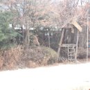 스튜디오라자 이미지