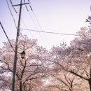 암곡와동경로당 이미지