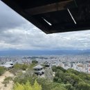 뽑기왕국 이미지