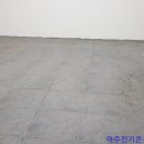 지정환 피자 이미지