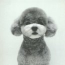 아름드리동물병원 이미지