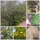 성화농장 이미지