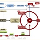 활성산소 Free radical의 개념 - superoxide, H2O2, Hydroxyl radical, lipid hydroperoxide - 논문 읽어야!! 이미지