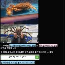 물어실내바다낚시터 이미지