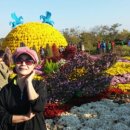 경인아인스 이미지