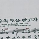 김내용농장 이미지