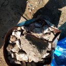 바른정비서비스(1급) 이미지