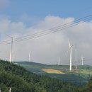 석포주유소 이미지